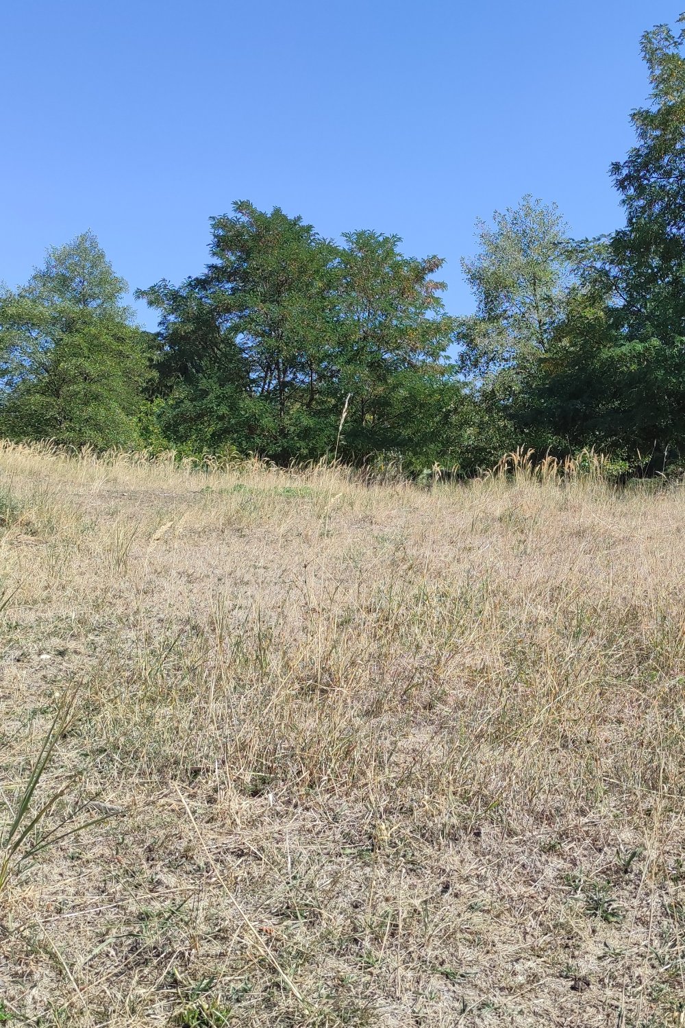 3. Ochrana pred klimatickými zmenami
